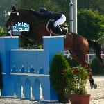 Eremita - CSI*** Warka 2008<br />&copy; s.szczęsna