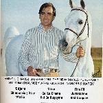 Nabor / Naborr - June 1975 Arabian Horse World