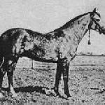 Doktryner