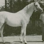 Geyran