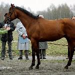 Autorytet<br /><i>Stara Miłosna 2001r.</i>