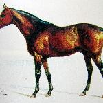 Raufbold / Рауфбольд