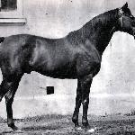 Turysta