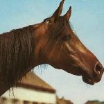 Warmia