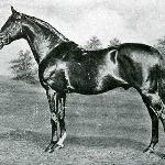 Cyllene