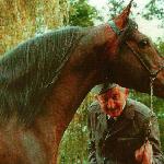 Aloes - Andrzej Krzyształowicz i Aloes