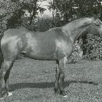 Fanaberia