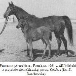 Fatma