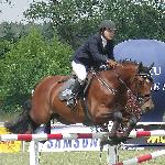 Rabiatos Z - CSIO**** Poznań 2005<br />&copy; voltahorse.pl