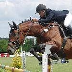 Rabiatos Z - CSIO**** Poznań 2005<br />&copy; voltahorse.pl