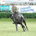 Odina<br />&copy; volt@