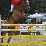 Ritus - CSIO Sopot 2009