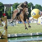 Dywizja - C.S.I.*** Sopot 2005<br />&copy; volt@
