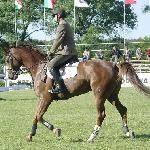 Dywizja - CSIO**** Poznań 2005<br />&copy; volt@