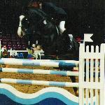 Palegro - CSI Torwar