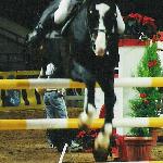 Palegro - CSI Torwar