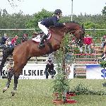Aramis - CSIO**** Poznań 2005<br />&copy; voltahorse.pl