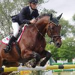 Aramis - CSIO**** Poznań 2005<br />&copy; voltahorse.pl