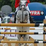 Bischof L - CSIO Sopot 2009