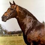 Landgraf I