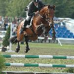 Aravel II - Mistrzostwa Polski Młodych Koni w Skokach - Łąck, 25-27.08.2006<br />&copy; Małgorzata Siergiej www.zelichow.pl