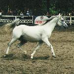 Avangard 25 / Авангард 25 - Kętrzyn 2000 rok