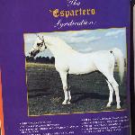 Espartero