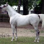 Pamir