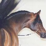 Alegro