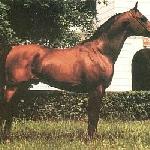 Alegro