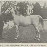 Mazepa I