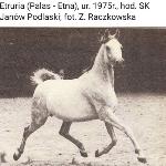 Etruria