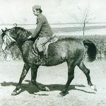 Gedymin