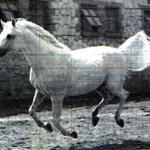 Gwarny