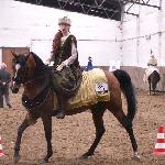 Album - i Patrycja Mroczkowska<br /><i>II Mistrzostwa Polski Western i Rodeo dla koni arabskich w Korytach k/Prażmowa</i>