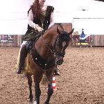 Album - i Patrycja Mroczkowska<br /><i>II Mistrzostwa Polski Western i Rodeo dla koni arabskich w Korytach k/Prażmowa</i>