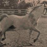 Lotnik - Lotnik - Kellogg Ranch-Cal Poly Pomona, 1952
