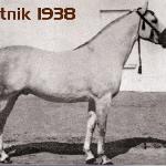 Lotnik