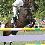 Integro - Mistrzostwa Polski Młodych Koni w Skokach 2005