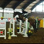 Integro<br />&copy; Magda Gill<br /><i>konkurs MR HPP Sopot 2010</i>