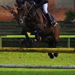 Integro<br /><i>Mistrzostwa Pomorza 2011</i>