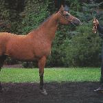Dalida