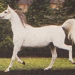 Draperia