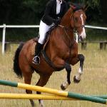 Iryda<br /><i>Racot, zawody rekreantów</i>