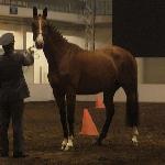 Iryda<br /><i>Polagra 2007</i>
