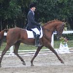 Winer