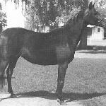 Equitana