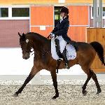 Muskat - Muskat podczas Mistrzostw Polski Juniorów w Ujeżdżeniu 2013, pod Katarzyną Wosik<br />&copy; Julia Świętochowska