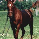 Garnizon - 2000r.