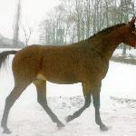 Grom - ZT Bogusławice 1998r.